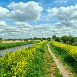 Nature Reserve De Groenzoom - Nieuwerkerk aan den IJssel