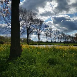 Recreatiegebied Hitsertse Kade - Nieuwerkerk aan den IJssel