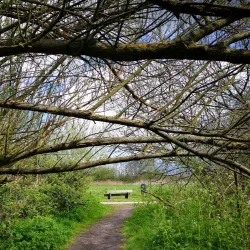 Recreatiegebied Hitsertse Kade - Nieuwerkerk aan den IJssel