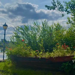 Rotte River Cycling Route - Nieuwerkerk aan den IJssel