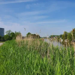 Rotte River Cycling Route - Nieuwerkerk aan den IJssel