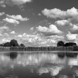 Rotte River Cycling Route - Nieuwerkerk aan den IJssel