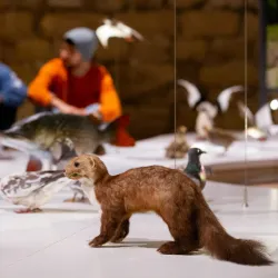 De Bastei - Nijmegen