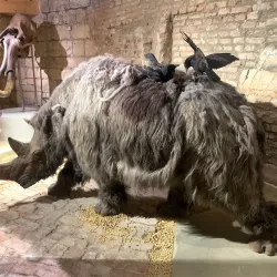 De Bastei - Nijmegen