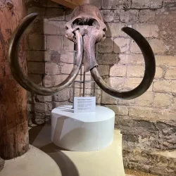 De Bastei - Nijmegen