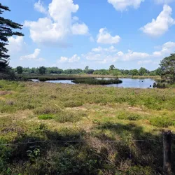 Hatertse Vennen - Nijmegen