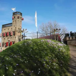 Valkhof Park - Nijmegen