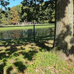 De Leidse Hout - Oegstgeest