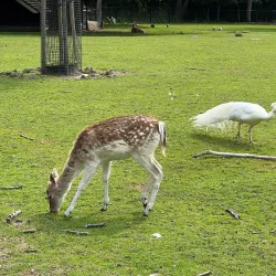 De Leidse Hout - Oegstgeest