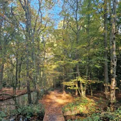 De Leidse Hout - Oegstgeest