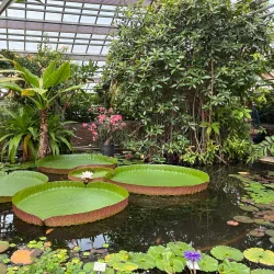 Leiden Botanical Garden (Hortus Botanicus Leiden) - Oegstgeest