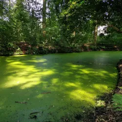 Oegstgeester Duinen - Oegstgeest