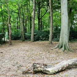Oegstgeester Duinen - Oegstgeest
