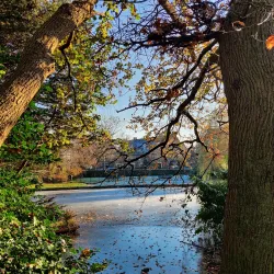 Oegstgeester Duinen - Oegstgeest