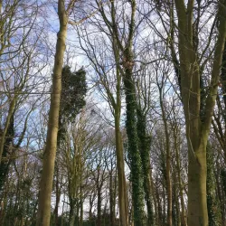Oegstgeester Duinen - Oegstgeest