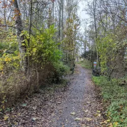 Rhijngeest Park - Oegstgeest