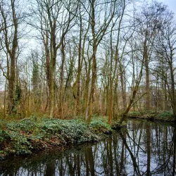 Rhijngeest Park - Oegstgeest