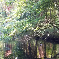 Rhijngeest Park - Oegstgeest