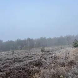 Cycling Routes Around Oostwold - Oostrewolde