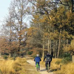 Cycling Routes Around Oostwold - Oostrewolde