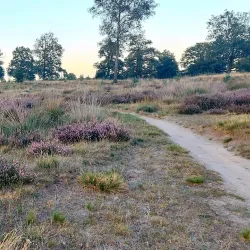 Cycling Routes Around Oostwold - Oostrewolde