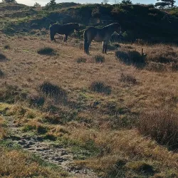 Cycling Routes Around Oostwold - Oostrewolde