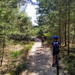 Cycling Routes Around Oostwold - Oostrewolde