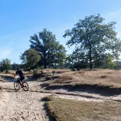Cycling Routes Around Oostwold - Oostrewolde