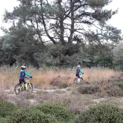 Cycling Routes Around Oostwold - Oostrewolde