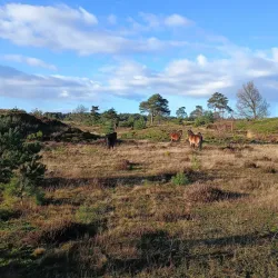 Cycling Routes Around Oostwold - Oostrewolde