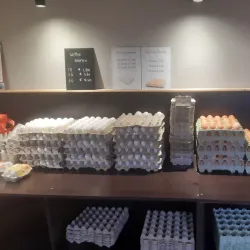 Local Farms and Dairy - Oostrewolde