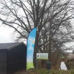 Local Farms and Dairy - Oostrewolde