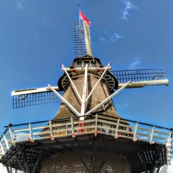 Oostwold Windmill - Oostrewolde