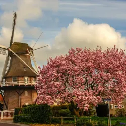 Oostwold Windmill - Oostrewolde