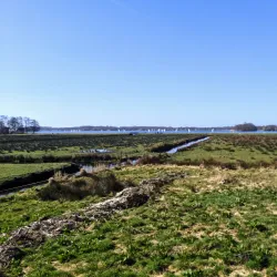Paterswoldsemeer Lake - Oostrewolde