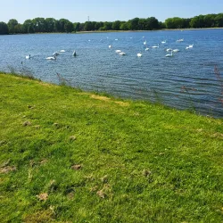 Paterswoldsemeer Lake - Oostrewolde