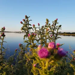 Westerwolde Nature Reserve - Oostrewolde