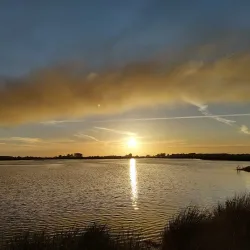 Westerwolde Nature Reserve - Oostrewolde