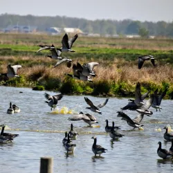 Westerwolde Nature Reserve - Oostrewolde