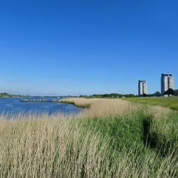 De Oude Maas River - Ridderkerk