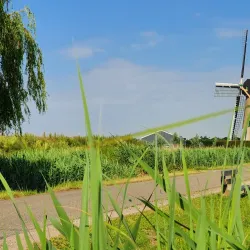 De Ridderkerkse Molens - Ridderkerk