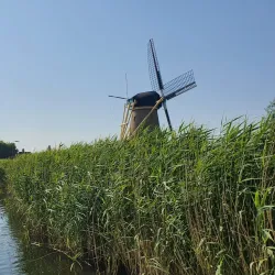 De Ridderkerkse Molens - Ridderkerk