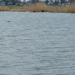 De Ridderkerkse Molens - Ridderkerk