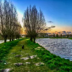 Park Molenvliet - Ridderkerk