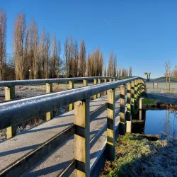 Park Molenvliet - Ridderkerk