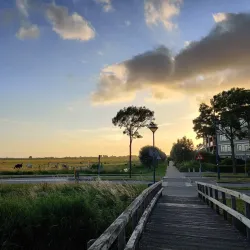 Park Molenvliet - Ridderkerk