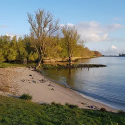 Ridderkerk Cycling Routes - Ridderkerk