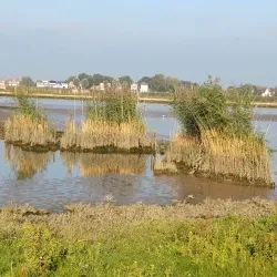 Ridderkerk Cycling Routes - Ridderkerk