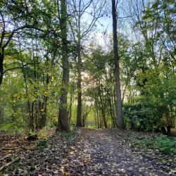 Ridderkerk Cycling Routes - Ridderkerk