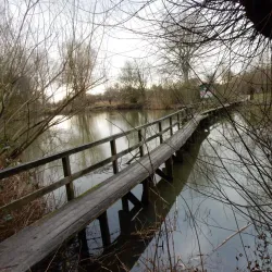 Ridderkerk Cycling Routes - Ridderkerk